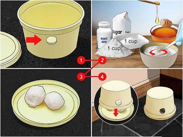 Thuốc diệt kiến gián không độc hại