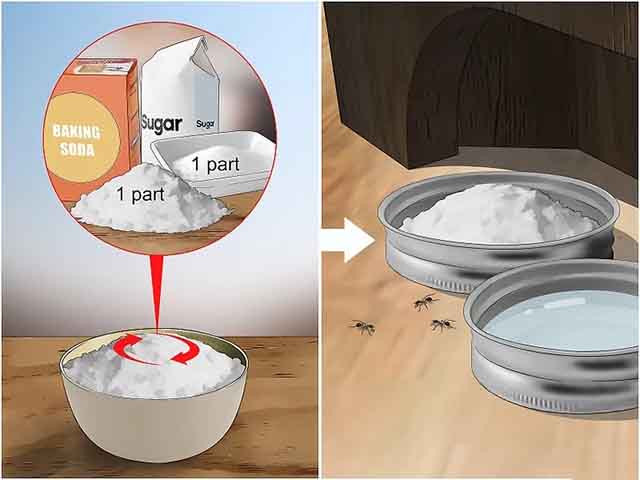 Thuốc diệt kiến gián không độc hại