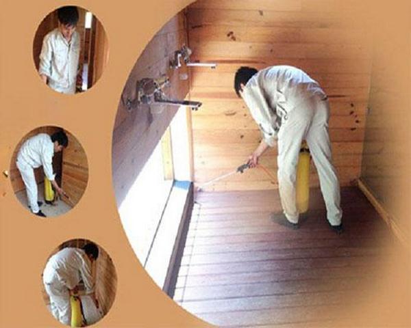 bao-gia-diet-moi-tan-goc