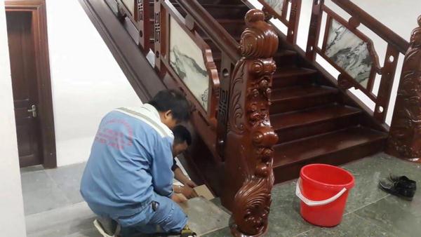 Cách diệt mối mọt trong nhà hiệu quả và an toàn