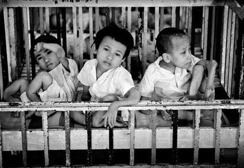 chất độc màu da cam là gì