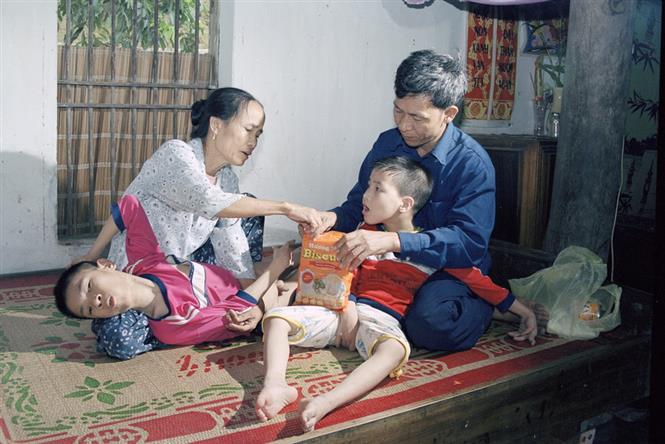 Chất Độc Màu Da Cam Là Gì? Những Hậu Quả Mà Nó Gây Ra Cho Con Người