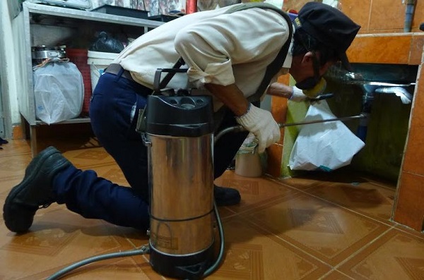 dịch vụ diệt mối và côn trùng