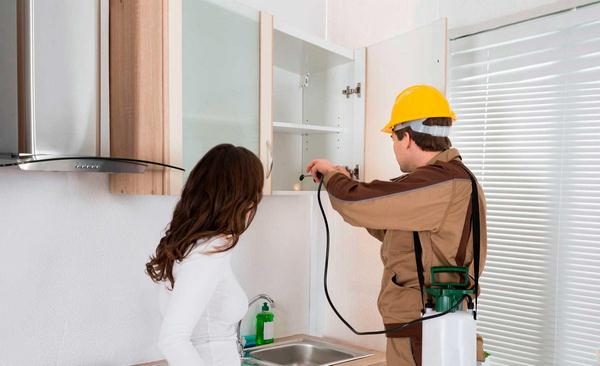 Dịch vụ diệt mối tận gốc tốt nhất ở đâu?