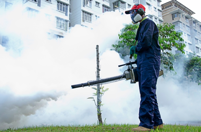 thuốc diệt muỗi cho chuồng trại
