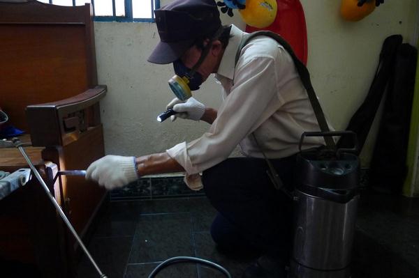 Các bước diệt mối tận gốc hiệu quả nhất