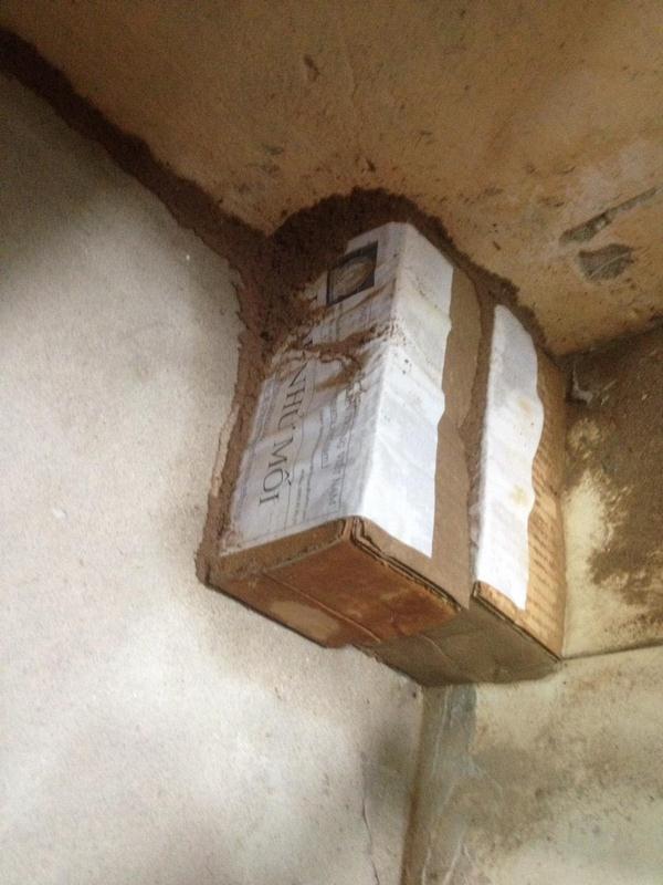 diet-moi-tan-goc-tai-cau-giay (1)