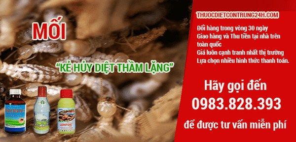 Diệt mối tận gốc uy tín