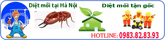 diệt côn trùng
