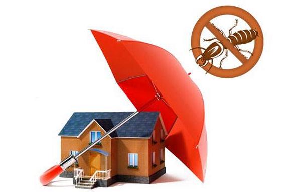 Hộp nhử mối – Sản phẩm được mọi nhà tin dùng