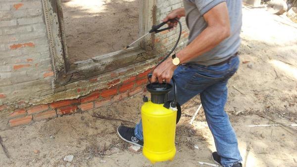 lam-cach-nao-de-diet-moi-tan-goc