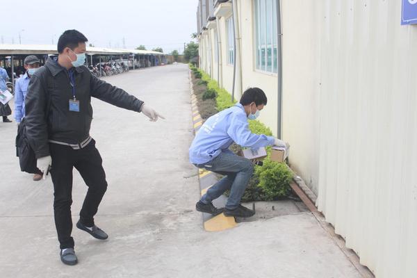 Làm sao diệt mối tận gốc?