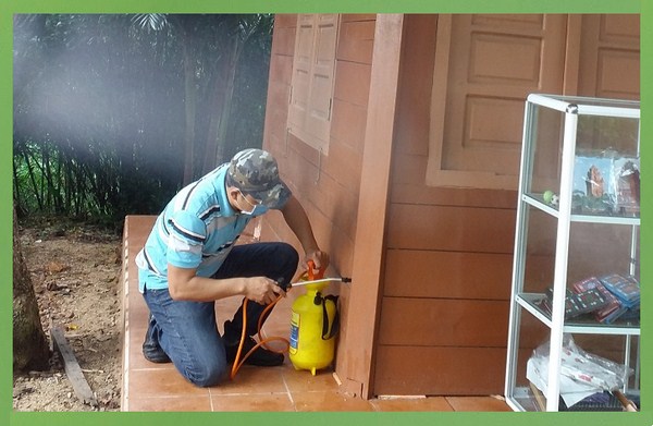 Làm thế nào để diệt mối tận gốc?