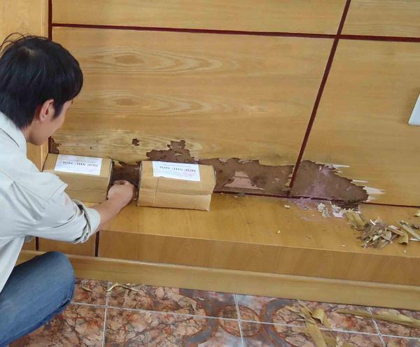 5 mẹo diệt mối tận gốc tại nhà đơn giản nhất