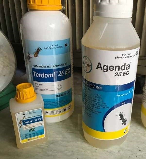 mua thuốc diệt mối ở hà nội