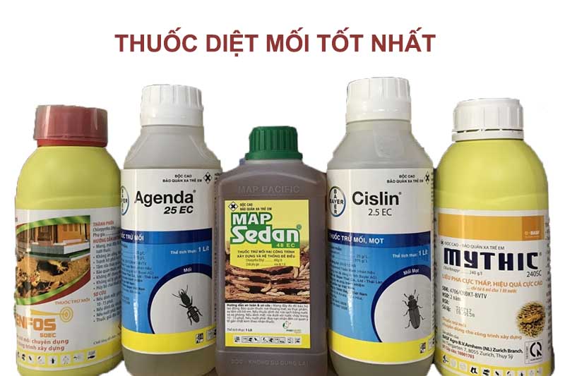 mua thuốc diệt mối ở đâu