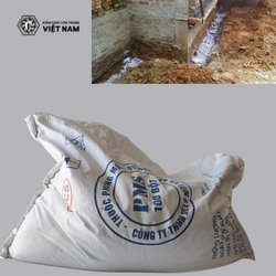 Hiểu Rõ Hơn về Cách Sử Dụng và Ưu Điểm của Thuốc trừ mối PMS 100 Bột trong Trừ Mối