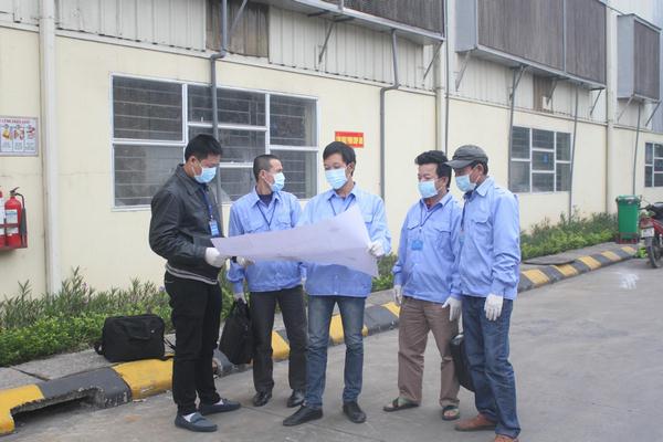 Quy trình diệt mối tận gốc theo phương pháp sinh học