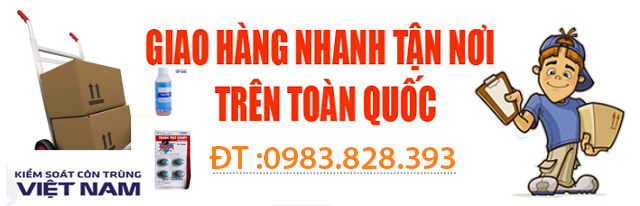 Thuốc diệt mối tận gốc sự lựa chọn thông thái