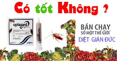 Cách phòng ngừa gián quay trở lại sau khi sử dụng thuốc diệt gián Đức