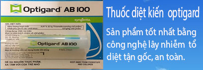 Các loại thuốc diệt kiến hiệu quả nhất hiện nay