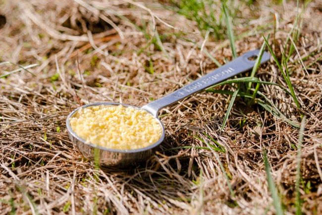 Bí quyết chọn thuốc diệt kiến hiệu quả nhất