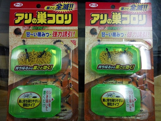 Thành phần của thuốc diệt kiến hiệu quả nhất