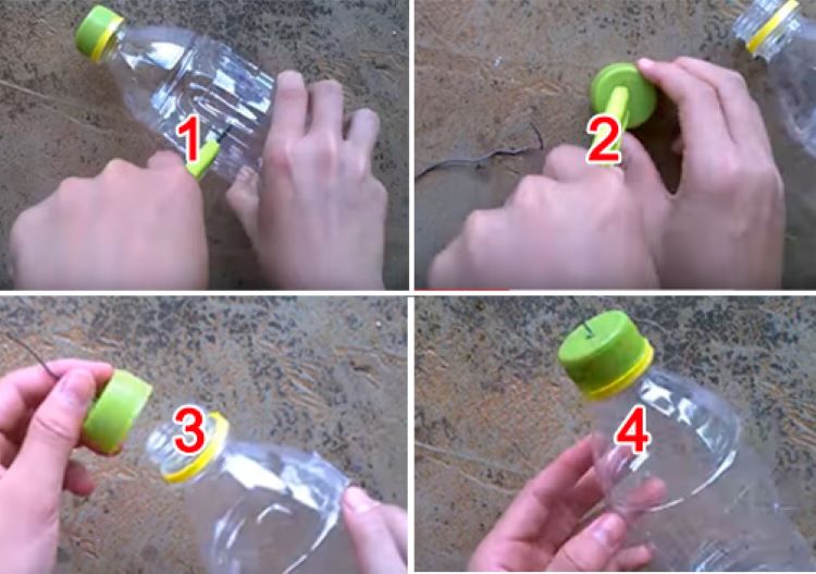 Giá thuốc diệt ruồi vàng 