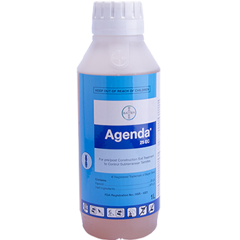 thuốc diệt mối 