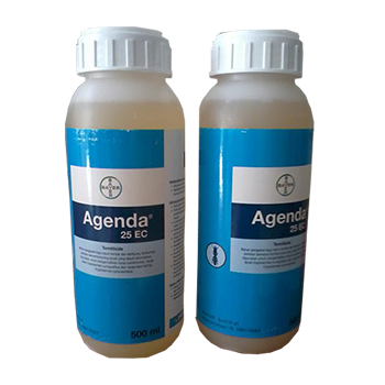 Bí quyết mua thuốc chống mối mọt tốt nhất hiện nay