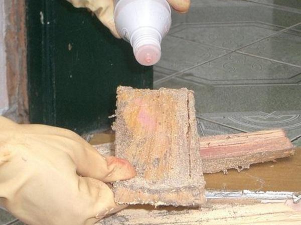 Sử dụng thuốc diệt mối như thế nào là an toàn?