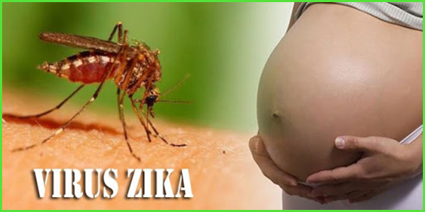 Thuốc Đuổi Muỗi Sinh Học An Toàn Và Hiệu Quả