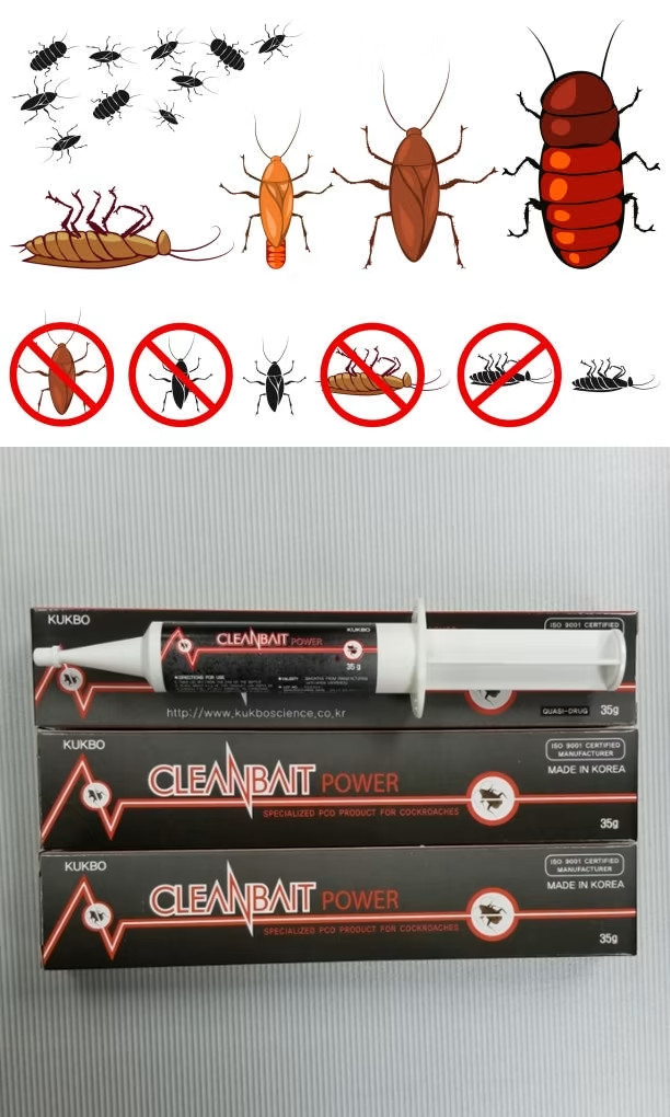 Các loại thuốc xịt gián không mùi hiệu quả, tốt nhất hiện nay