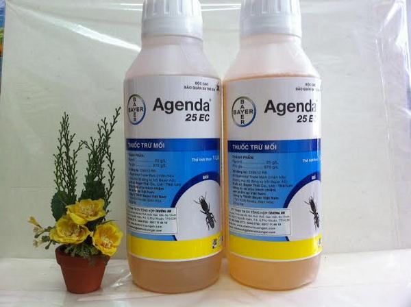 Thuốc diệt mối an toàn chất lượng