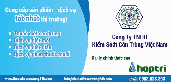Thuốc diệt mối an toàn tại Hà Nội