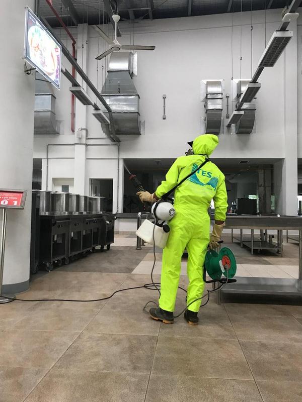 Thuốc diệt mối dạng xịt