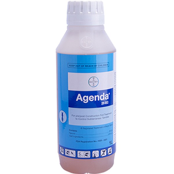 Thuốc diệt mối tận gốc tại hà nội