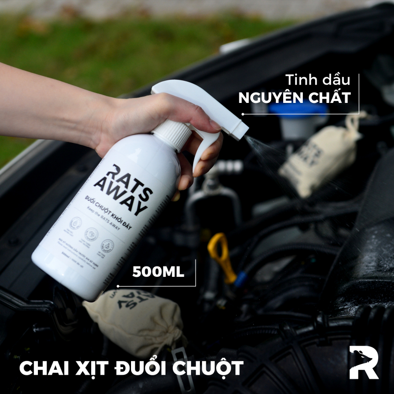 Thuốc xịt xua đuổi chuột hiệu quả, tốt nhất hiện nay