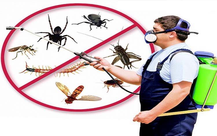 công ty thuốc diệt côn trùng Hà Nội