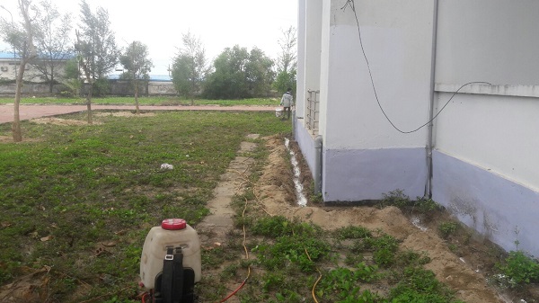  thuốc diệt mối tại Hà Nội uy tín