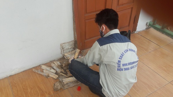 Địa chỉ bán thuốc diệt mối tại Hà Nội chất lượng