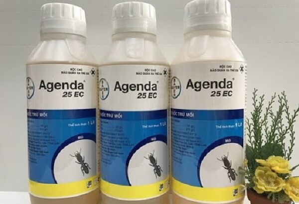 Địa chỉ bán thuốc diệt mối tại Hà Nội