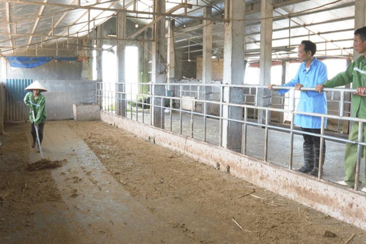 thuốc diệt ruồi trong chăn nuôi 