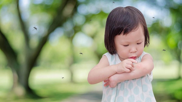 thuốc diệt ruồi nhặng