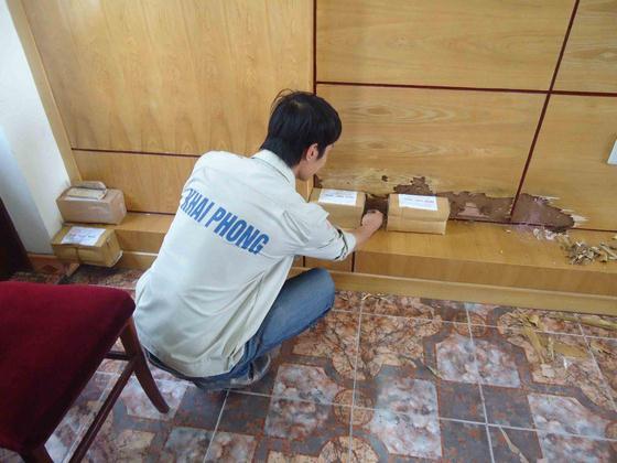 Dịch vụ diệt mối tận gốc giá rẻ