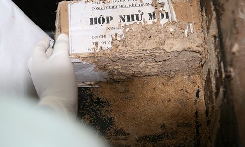 Thuốc trừ mối dạng bột 