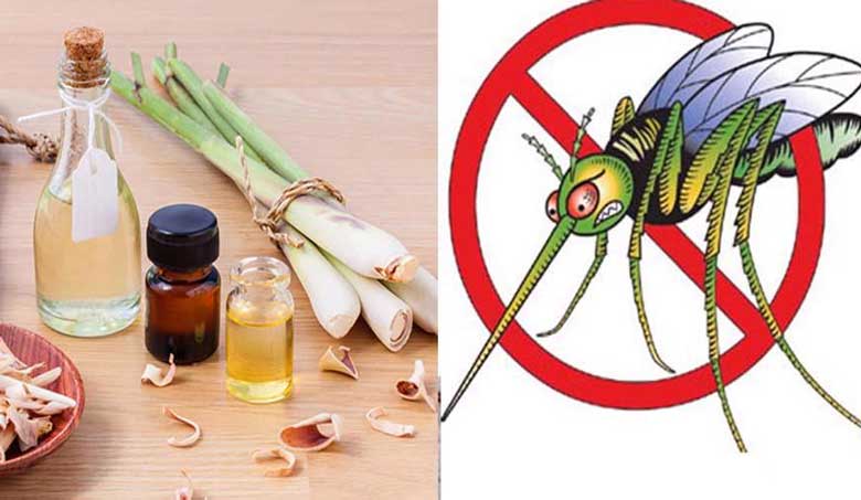 Thuốc diệt muỗi an toàn cho trẻ nhỏ 